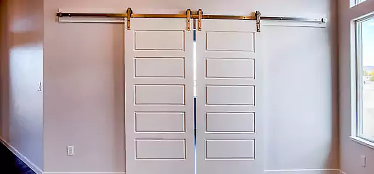 Glass Barn Door with Installation Hardware Kit Elizabeth City