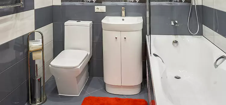 Hansgrohe Shaving Mirror Elizabeth City
